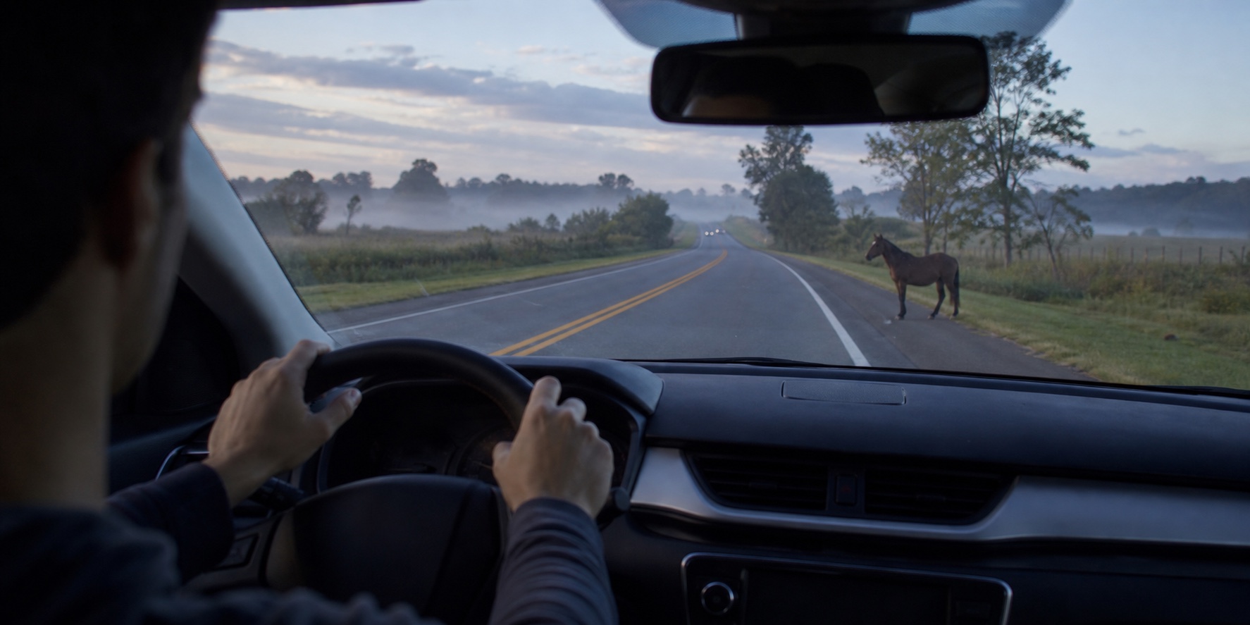 Motorista mantém distância ao avistar cavalo próximo à rodovia